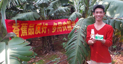差距這么大， 是真的嗎？ 銀農(nóng)故事匯—香蕉篇